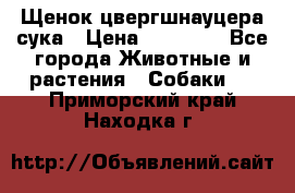 Щенок цвергшнауцера сука › Цена ­ 25 000 - Все города Животные и растения » Собаки   . Приморский край,Находка г.